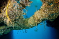   Underwater mirror  